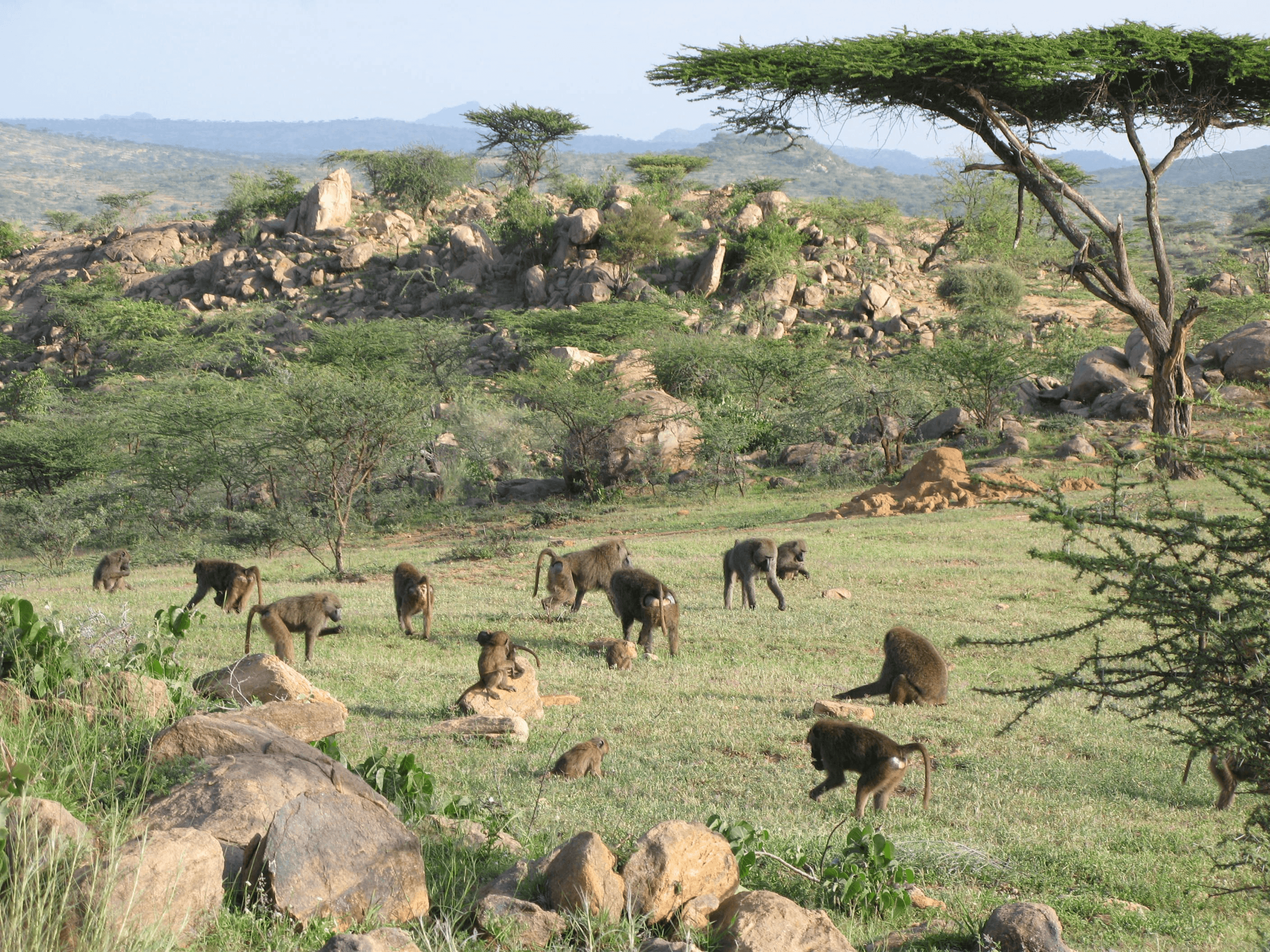 Protect Biodiversity